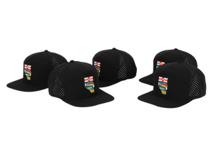 AB Black 7 Panel Hat